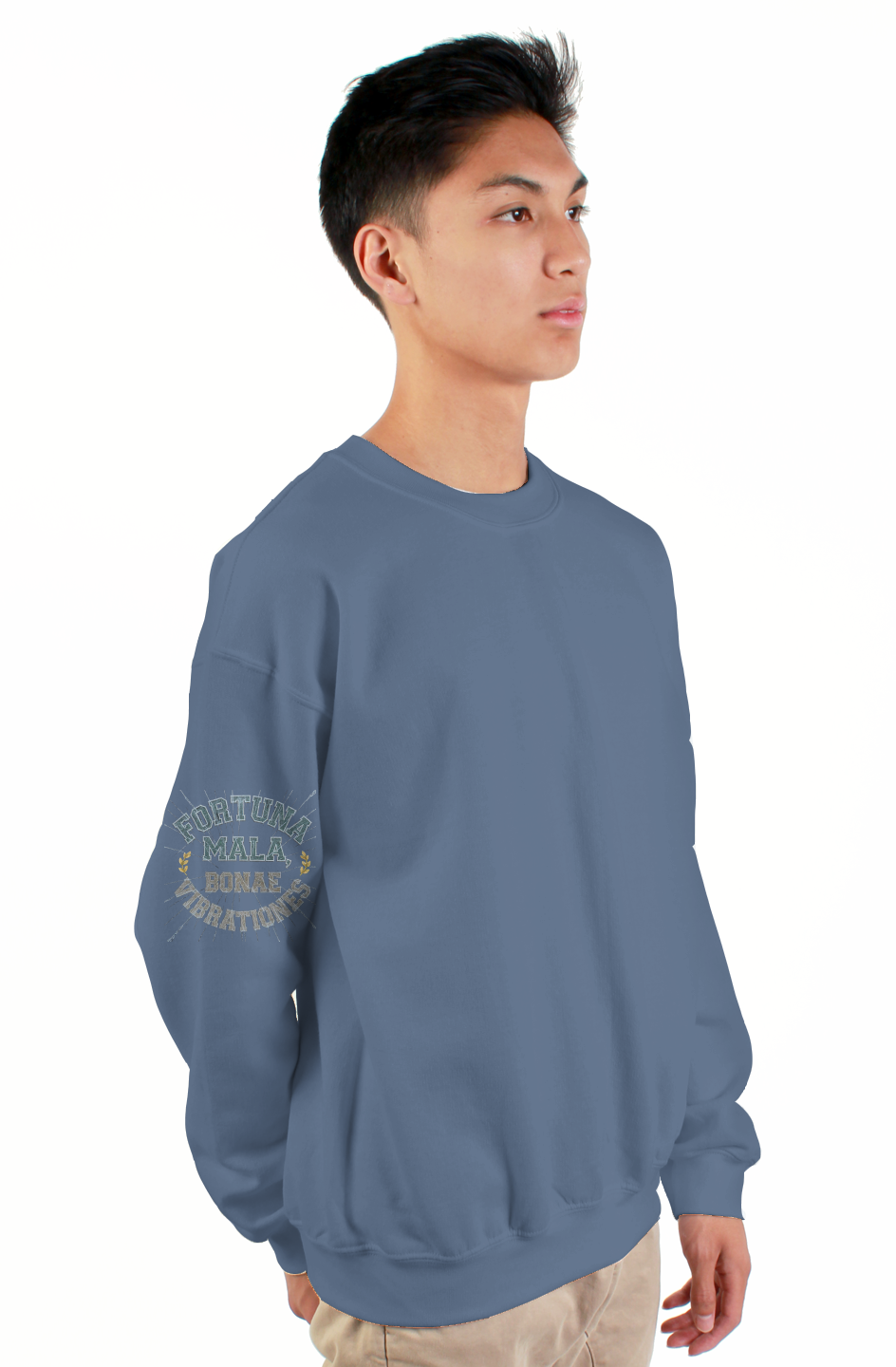 Roll The D-ice Premium gildan heavy crewneck sweatshirt
